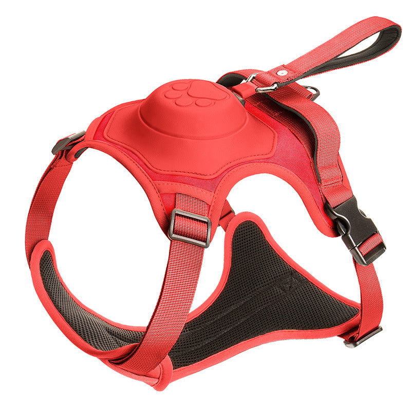 Dog leash {{Product vendor}}