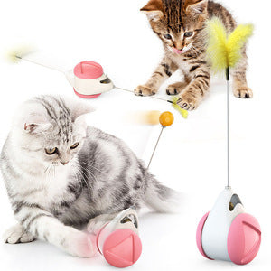 Cat toys, cat teaser sticks, slow food dispensers, leaky food balls {{Product vendor}}