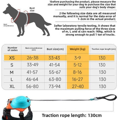 Dog leash {{Product vendor}}