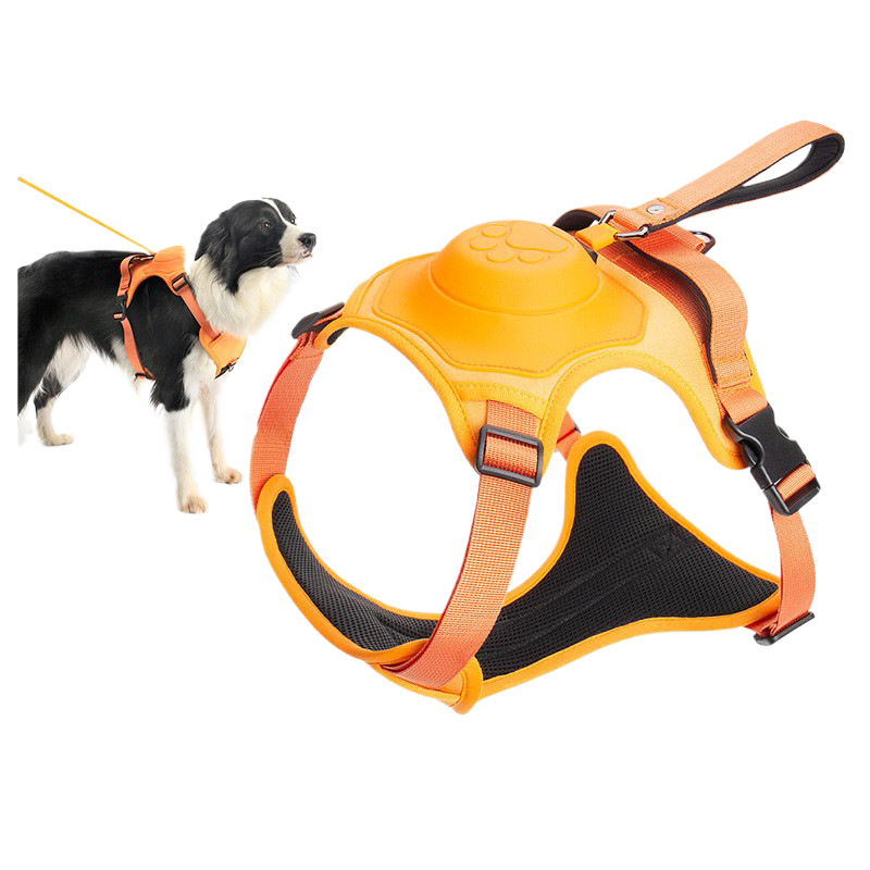 Dog leash {{Product vendor}}