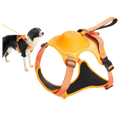 Dog leash {{Product vendor}}