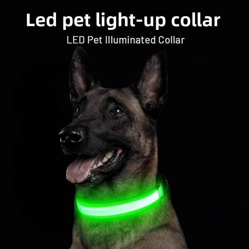Dog Collar {{Product vendor}}