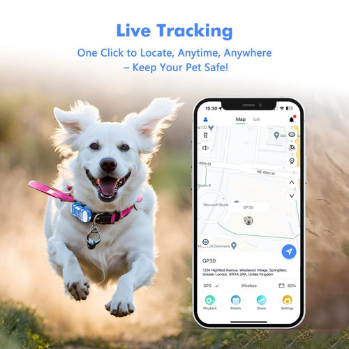 Pet location tracking device {{Product vendor}}