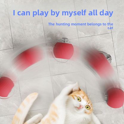Automatic Rolling Cat Toy Ball with Rope {{Product vendor}}