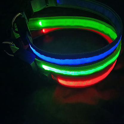 Dog Collar {{Product vendor}}
