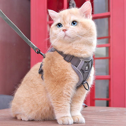 Vest style kitten leash {{Product vendor}}