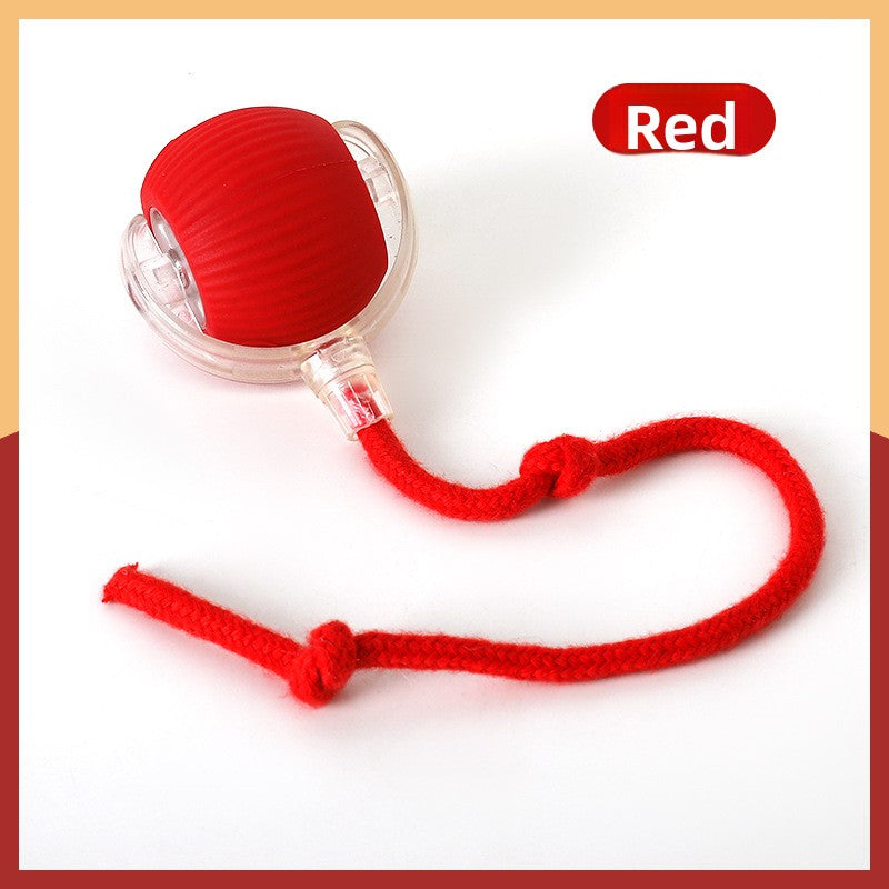 Automatic Rolling Cat Toy Ball with Rope {{Product vendor}}