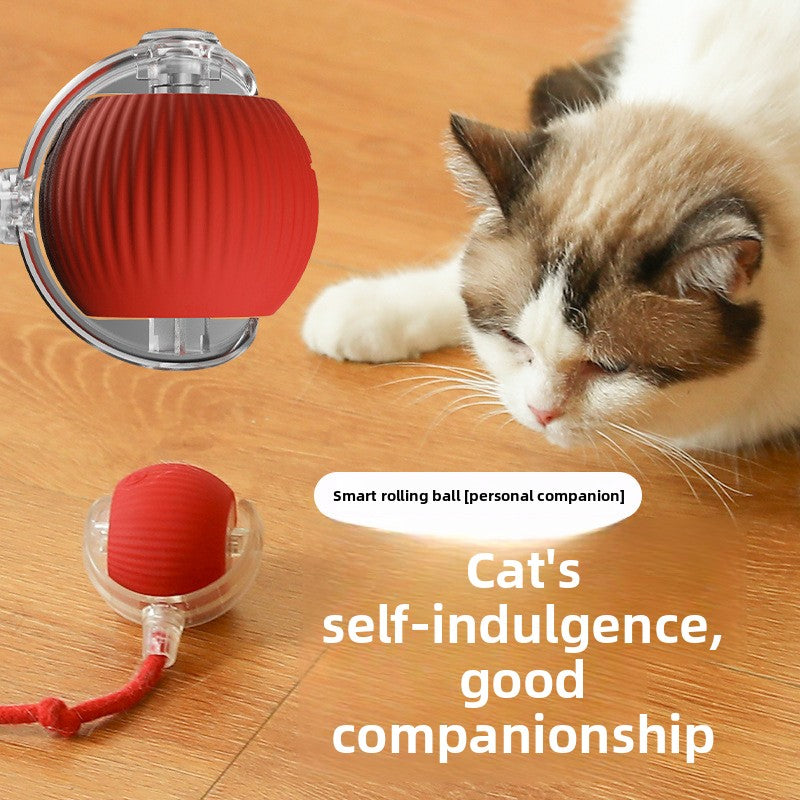 Automatic Rolling Cat Toy Ball with Rope {{Product vendor}}
