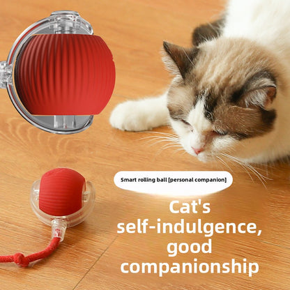Automatic Rolling Cat Toy Ball with Rope {{Product vendor}}