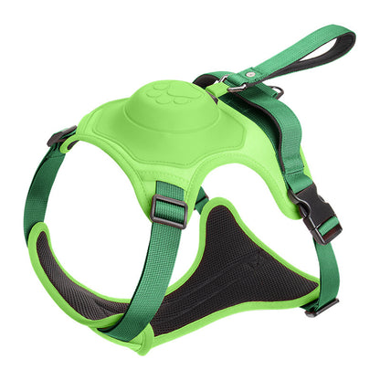 Dog leash {{Product vendor}}