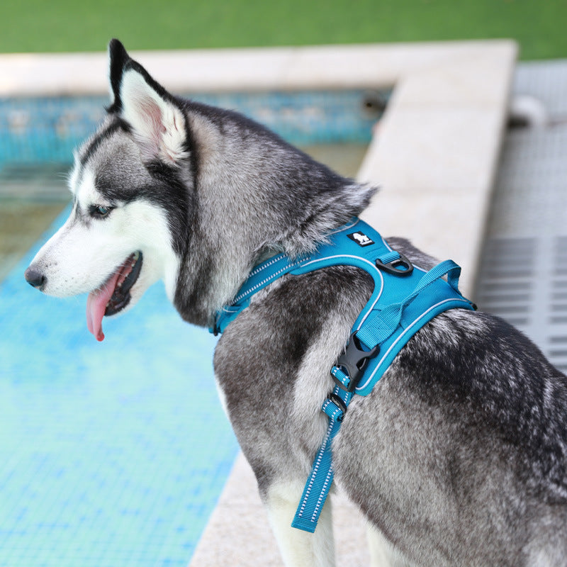 Pet vest-style leash {{Product vendor}}